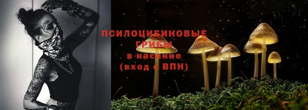 мет Абаза