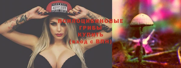 MDMA Новозыбков