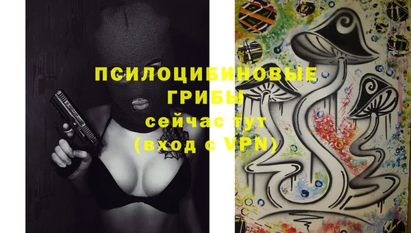 гашишное масло Новодвинск
